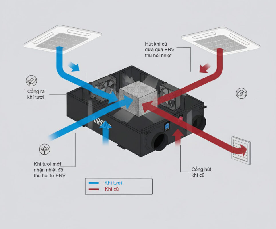 Cách máy cấp khí tươi hoạt động