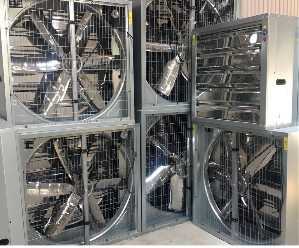 Quạt thông gió vuông: Hút gió công nghiệp, nhà xưởng lớn 2 quat thong gio vuong 2