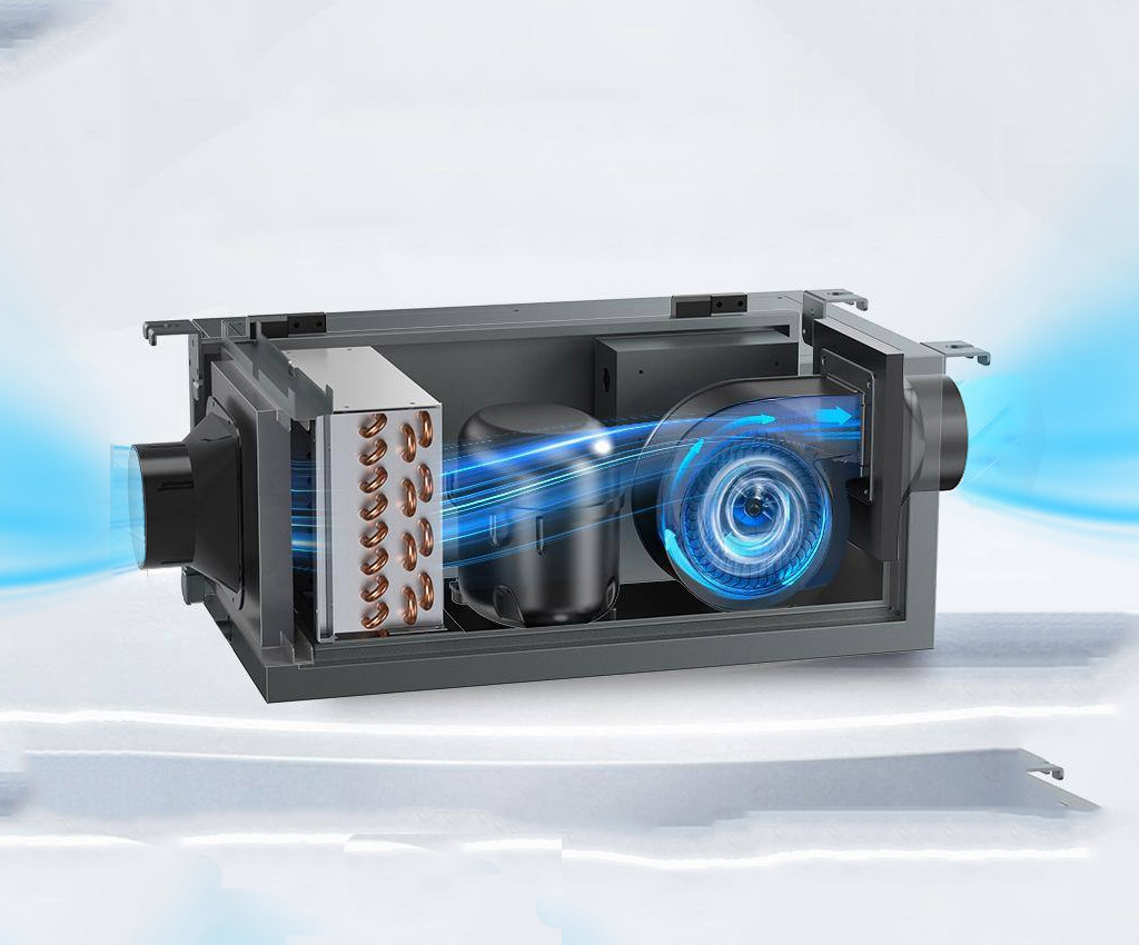 cơ chế hoạt động